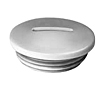 Synthetic Locking Plugs